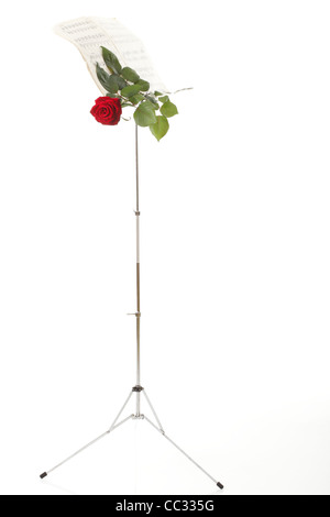 rote Rosen und alten Hinweis Notizen lieben weißen Hintergrundmusik Stockfoto