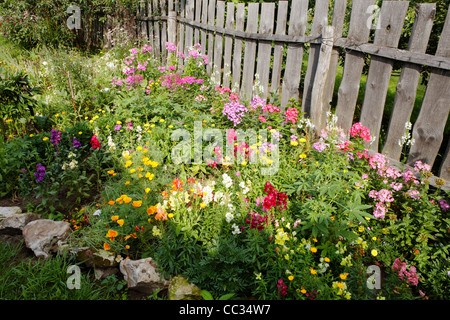 Blumenbeet im Garten. Zentralrussland. Stockfoto