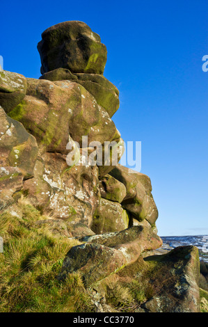 Ramshaw rockt Gritstone Klippen Peak District Nationalpark Staffordshire England UK GB EU Europa Stockfoto