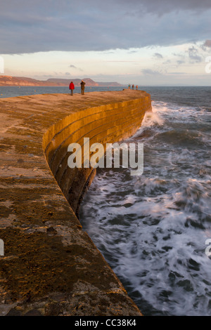 Wanderer genießen Sie die frische Seeluft und die Aussicht von der Cobb bei Sonnenuntergang, Lyme Regis, November 2011 Stockfoto