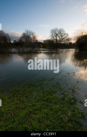 Fluß Avon in Flut - Stratford-upon-Avon, Warwickshire Stockfoto