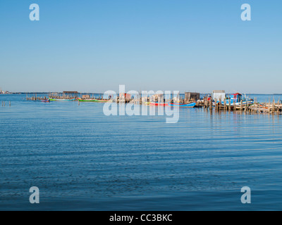 Carrasqueira Stelzenläufer port Stockfoto