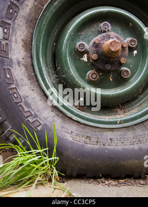 Nahaufnahme von einem verlassenen Land Rover in Spinnweben bedeckt Stockfoto