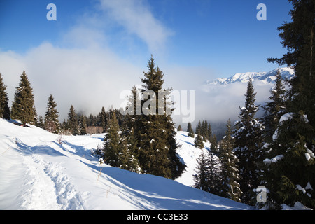 Wanderweg im Winterberge Stockfoto