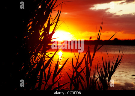 Sonnenaufgang am See und Wolken Stockfoto