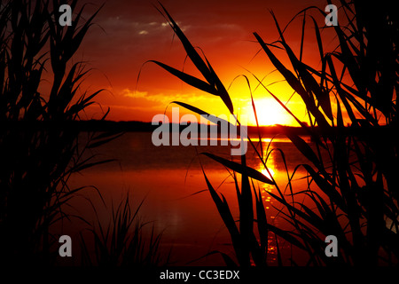 Sonnenaufgang auf gefällt mir und Wolken Stockfoto