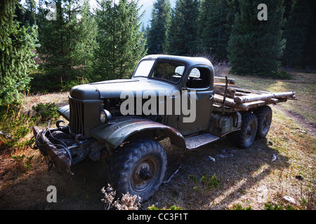 Alte LKW im Pinienwald gebrochen Stockfoto