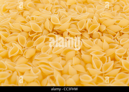 trockene gelbe Nudeln Muscheln (Conchiglioni) als Hintergrund Stockfoto