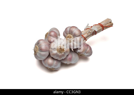 Eine Reihe von violette Knoblauch Stockfoto