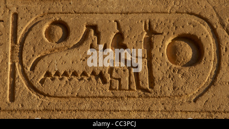 Hieroglyphenschrift. Königliche Protokoll von Ramses II. Vierter Titel: König von Ober- und Unterägypten. Tempel von Karnak. Luxor. Stockfoto