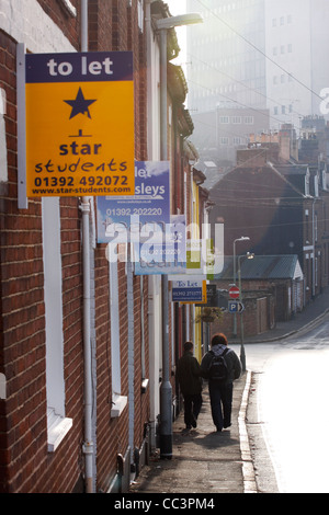 Anzeichen für Student zu vermieten Wohnung auf einer Straße in Exeter Stockfoto