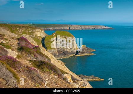 England, Wales, Anglesey, heilige Insel, in der Nähe von South Stack Lighthouse Stockfoto