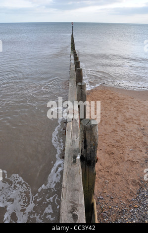 Strand Buhne in Dawlish Warren, Devon. Buhnen bieten Strände etwas Schutz vor Erosion der Küsten. Stockfoto