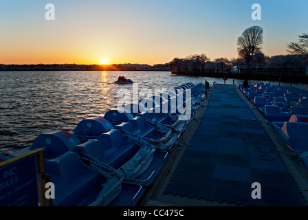 Sonnenuntergang auf dem nationalen Gezeiten-Bassin in Washington, D.C. Stockfoto