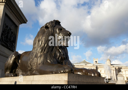 Bronze-Löwen Statue InTrafalgar Square London England UK United kingdom Stockfoto