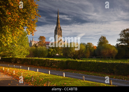 Kathedrale von Salisbury aus in der Nähe an einem bunten Herbstmorgen. Stockfoto