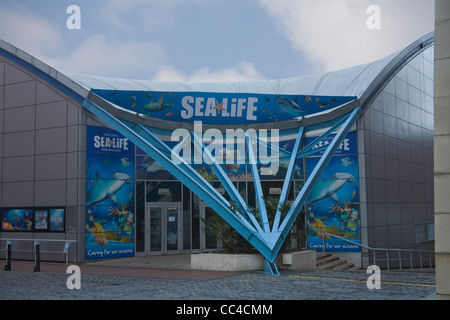 Birmingham West Midlands National Sea Life Centre in Brindleyplace Stockfoto