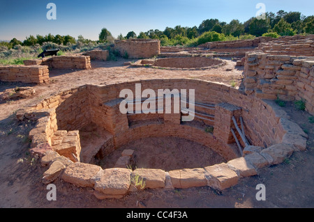 Kiva (zeremonielle Kammer) in Coyote Dorfkomplex, weitem Blick Websites, Mesa Verde Nationalpark, Colorado, USA Stockfoto