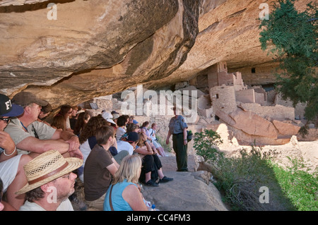 Parkführer und Besucher am Cliff Palace Ruinen im Alkoven im Chaplin Mesa in Mesa Verde Nationalpark, Colorado, USA Stockfoto