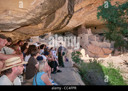 Parkführer und Besucher am Cliff Palace Ruinen im Alkoven im Chaplin Mesa in Mesa Verde Nationalpark, Colorado, USA Stockfoto