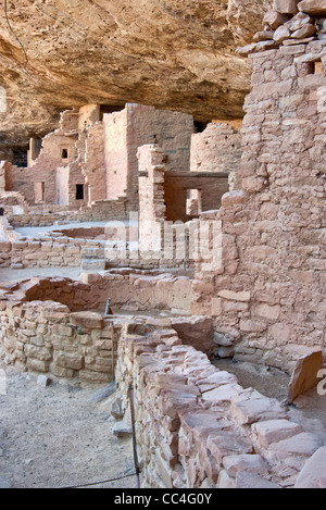 Spruce Tree House Ruinen im Alkoven im Chaplin Mesa in Mesa Verde Nationalpark, Colorado, USA Stockfoto