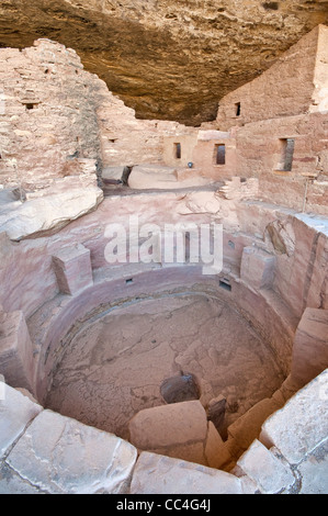 Kiva (zeremonielle Kammer), Zimmer im Spruce Tree House Ruinen in Alkoven im Chaplin Mesa in Mesa Verde Nationalpark, Colorado, USA Stockfoto