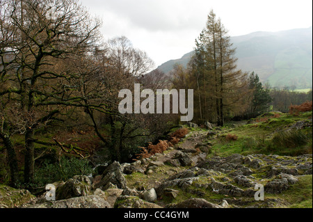 Millbeck Pfad, Lake District, Cumbria, UK Stockfoto