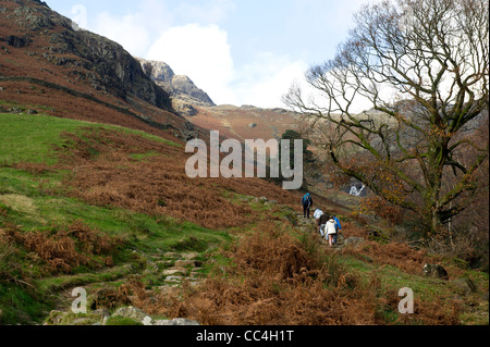 Millbeck Pfad, Lake District, Cumbria, UK Stockfoto