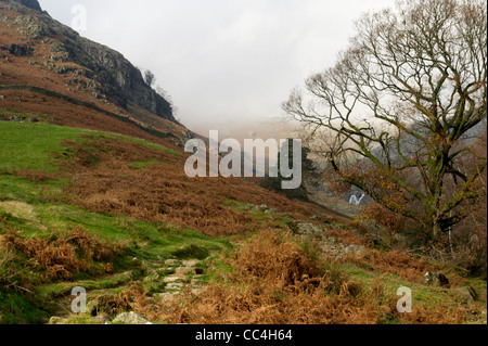 Millbeck Pfad, Lake District, Cumbria, UK Stockfoto