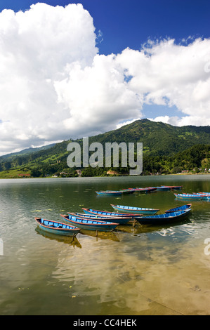 Bunt bemalten Boote vertäut am Phewa Tal, Pokhara, Nepal, Asien Stockfoto