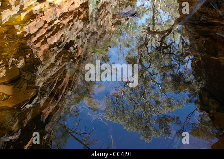 Spiegelung im Wasser von Bäumen und Felswand bei Alligator Gorge, Mount Remarkable National Park, South Australia, Australien Stockfoto