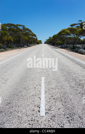 Gerade Straße, Nullarbor Plain, South Australia, Australien Stockfoto