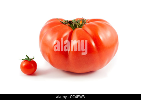 Riesige Biorind und kleine Cherry-Tomaten, Isolated on White Background Stockfoto