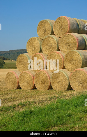 Stacked bales of straw hay in a field after harvest harvesting North Yorkshire England UK United Kingdom GB Great Britain Stockfoto