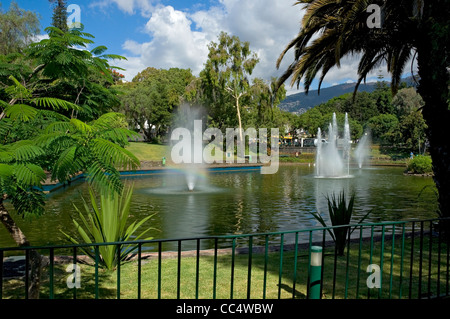 Brunnen Brunnen Brunnen und See in öffentlichen Gartenanlagen Santa Catarina Park Funchal Madeira Portugal EU Europa Stockfoto