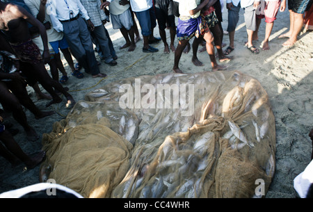 Fotografie von Roy Riley Fischer Casting ihre Netze am Strand von Kovalam in Kerala, Indien Stockfoto