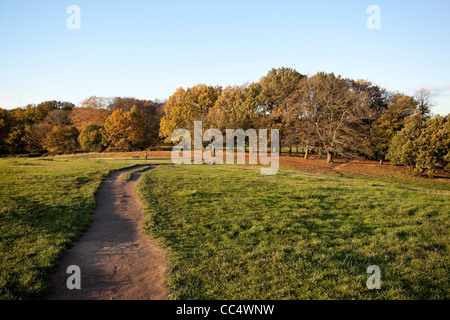 Blick von der gegenüberliegenden Seite der Parliament Hill, Hampstead Heath, London, England, UK. Stockfoto