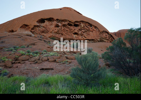 Ayers Rock; Nahaufnahme des Uluru Rock Formation, Uluru-Kata Tjuta National Park, Northern Territory, Australien Stockfoto