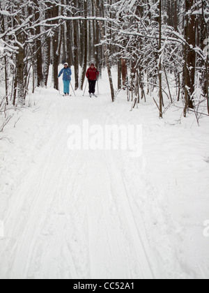 Bitsa Bitsevski Park (Park) im Winter nach einem starken Schneefall. Moskau, Russland. Stockfoto