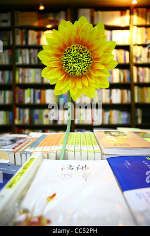 Eine künstliche Sonnenblume unter Bücher, O2Sun Buchhandlung, Beijing, China Stockfoto