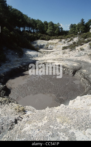 New Zealand Rotorua Wai-O-Tapu thermal Wonderland Devil Ink Pots Stockfoto