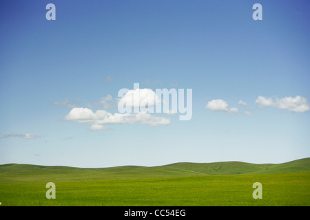 Landschaft des mongolischen Stammes Jinzhanghan, Hulun Buir Grünland, Manzhouli, Hulunbuir, Innere Mongolei autonome Region, China Stockfoto