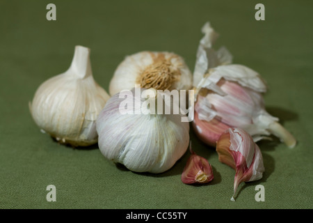 Vier Knoblauch Zwiebeln und zwei Knoblauchzehen auf rustikalen grünem Leinen Hintergrund Stockfoto