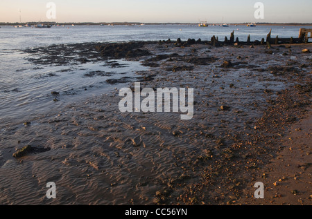 Bei Ebbe Strand Sonnenuntergang im Winter Bawdsey Quay, Suffolk, England Stockfoto