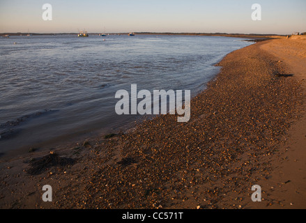 Bei Ebbe Strand Sonnenuntergang im Winter Bawdsey Quay, Suffolk, England Stockfoto