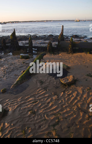 Bei Ebbe Strand Sonnenuntergang im Winter Bawdsey Quay, Suffolk, England Stockfoto