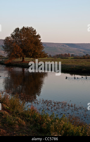 Hula-Tal, Syrian-afrikanischen Rift valley Stockfoto