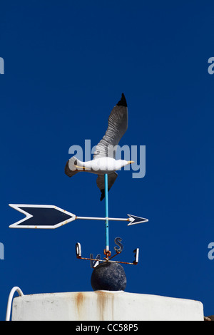 Möwe-förmigen Wetterfahne, Wetterhahn Stockfoto