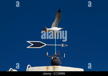 Möwe-förmigen Wetterfahne, Wetterhahn Stockfoto