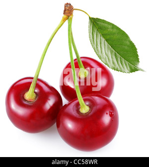 Drei perfekte Süßkirschen mit dem Blatt isoliert auf einem weißen Hintergrund. Stockfoto